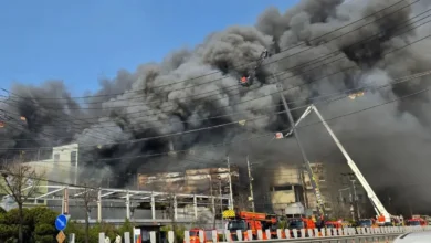 10 killed in South Korean factory fire