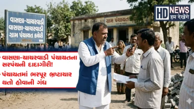 vasna Charcharvadi sarpanch treated, સરપંચની ધમકી, સરપંચની દાદાગીરી