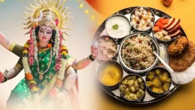 Navratri Fast: નવ દિવસના વ્રતમાં શું ખાશો, શું નહિ? જાણો વ્રતના નિયમો hum dekhenge news