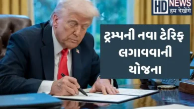 Donald Trump New Import Tax