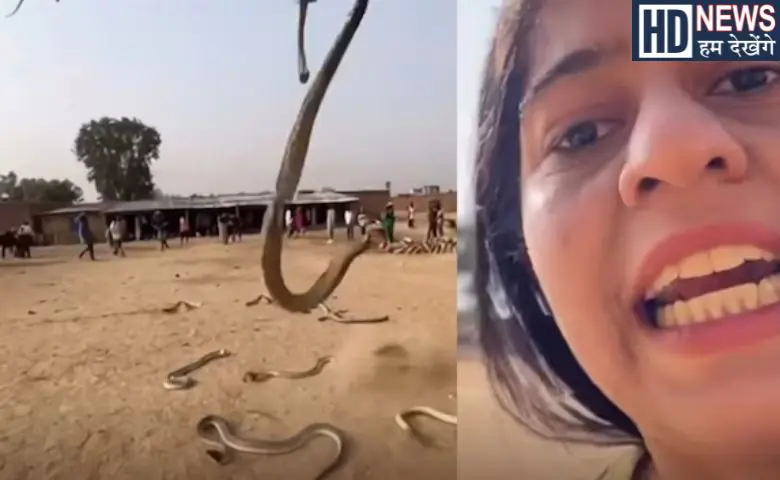 આકાશમાંથી વરસ્યા ઝેરીલા સાપ? યુવતીએ Live AI વીડિયો બનાવ્યો તો લોકોના શ્વાસ થંભી ગયા! hum dekhenge news