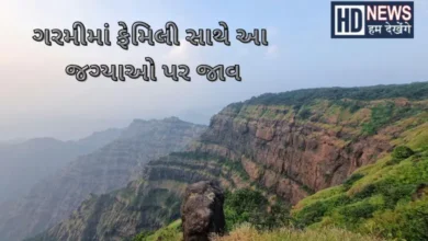 સમર વેકેશનમાં બાળકો સાથે ફરવા માટે પરફેક્ટ છે આ જગ્યાઓ, આજે જ કરાવી દો બુકિંગ hum dekhenge news