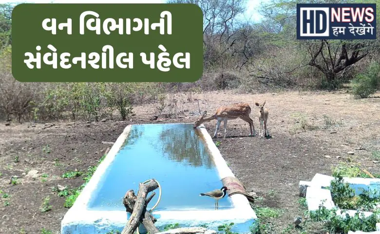 Jamnagar Forest Department has created 23 artificial water points For animals