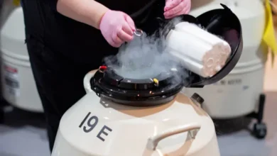 Egg Freezing