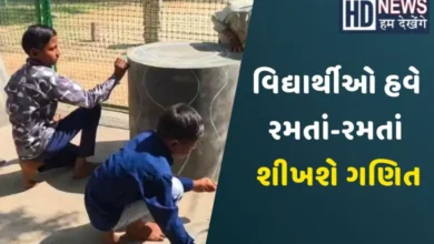 A primary school in Panchmahal’s Navandisar village has created Gujarat’s first Maths Park, helping students learn mathematics through fun activities and games.