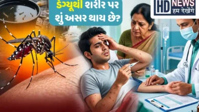 Dengue Explained: Which Mosquito Causes Dengue, Symptoms, Treatment, and Prevention Guide
