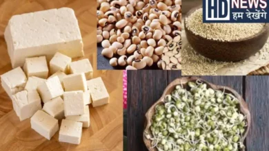 Include these 5 vegetarian foods in your diet as an alternative to adulterated paneer, hum dekhenge news