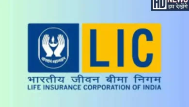 LIC's new masterstroke: Preparing to enter fintech sector, will compete with PhonePe-Paytm, HUM DEKHENGE NEWS