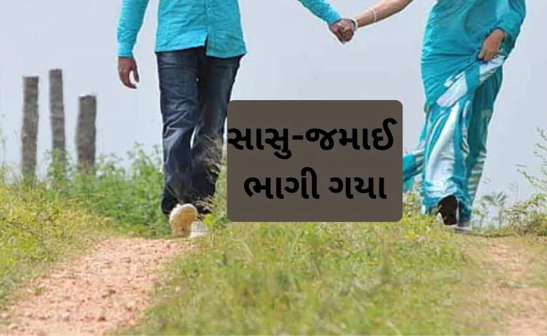 જમાઈ સાથે ભાગી 8 બાળકોની માતા, પતિએ કહ્યું, અગાઉ પણ કર્યો હતો કાંડ hum dekhenge news
