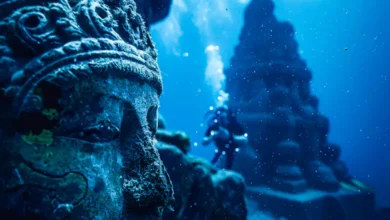 The remains of a thousand-year-old ancient port found in the sea of ​​Bet Dwarka, creating great excitement among history buffs and researchers, hum dekhenge news