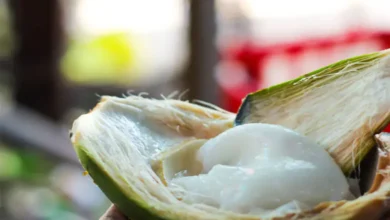 Coconut milk is beneficial for health, know about its nutrients, hum dekhenge news