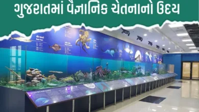 Gujarat’s four Regional Science Centres in Patan, Bhuj, Bhavnagar and Rajkot have attracted over 25.64 lakh visitors.