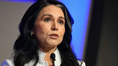 Tulsi Gabbard's revelation: US scientists funded the Chinese lab from which the coronavirus spread, hum dekhenge news