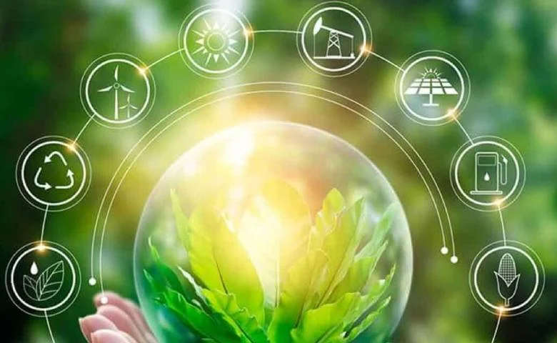 India's dominance in the world: The country has become Asia's largest 'green superpower' with a revenue of $110 billion, hum dekhenge news