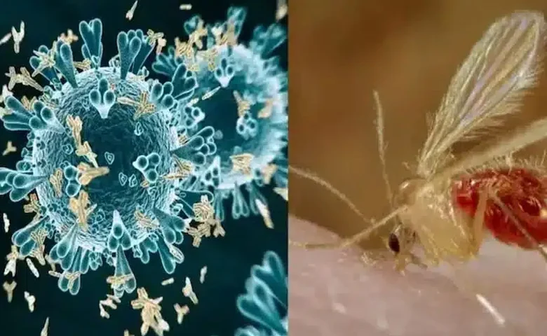 Chandipura Virus