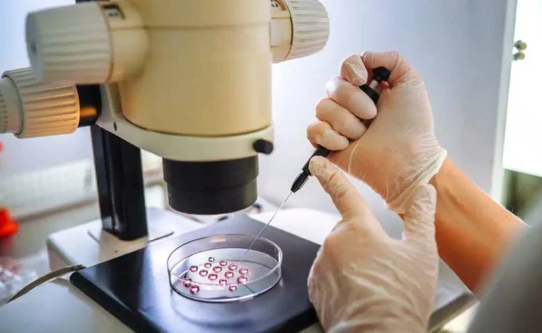 Maharashtra: Government action against illegal IVF and sonography centers, SIT to investigate, hum dekhenge news