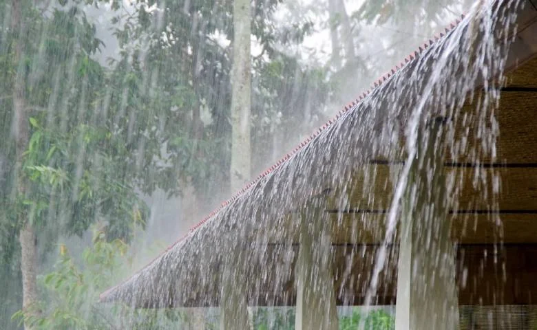 Torrential rain in 213 talukas across the state in 24 hours; heavy rain forecast until July 27, hum dekhenge news
