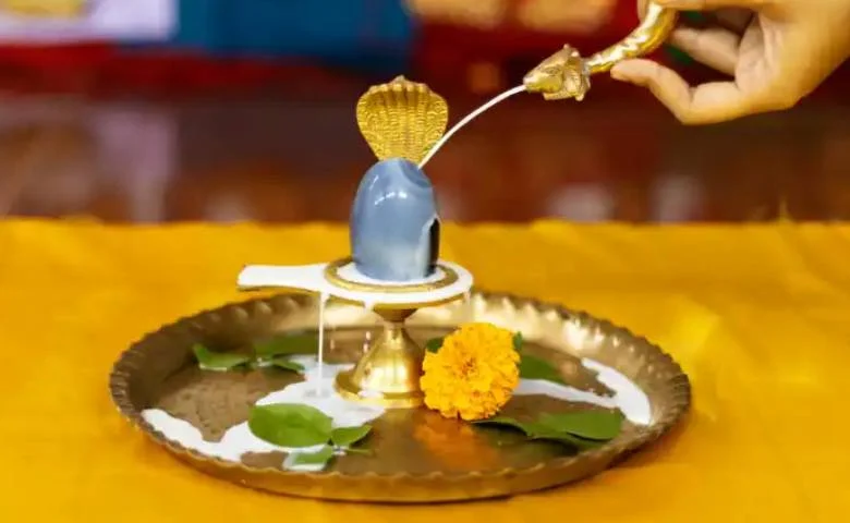 Why is Rudrabhishek performed during Shravan? Learn about its significance, hum dekhenge news