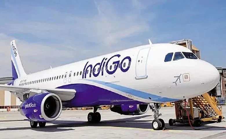 indigo