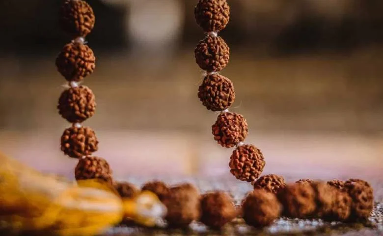 Rules for wearing Rudraksha during Shravan; find out which one is most auspicious for your zodiac sign, hum dekhenge news