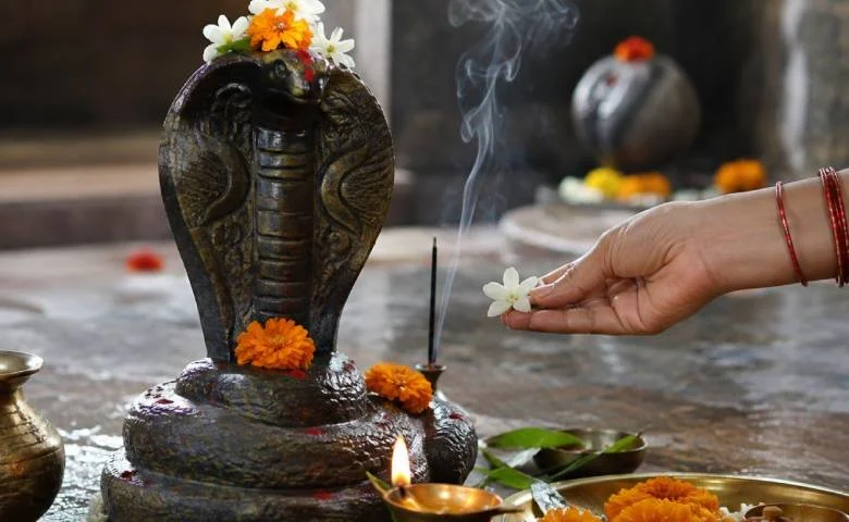 Did you miss the Nag Panchami Puja? Then, performing these auspicious acts will earn you double the merit!, hum dekhenge news