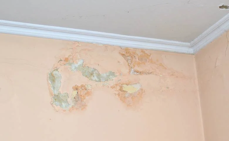 Dampness On Wall