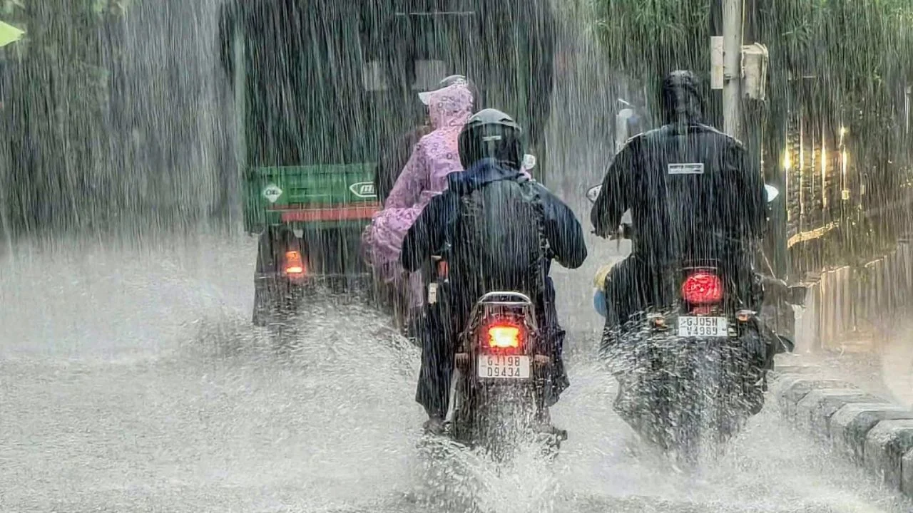 Havoc caused by rain in Gujarat; Meteorological Department issues warning for 33 districts.