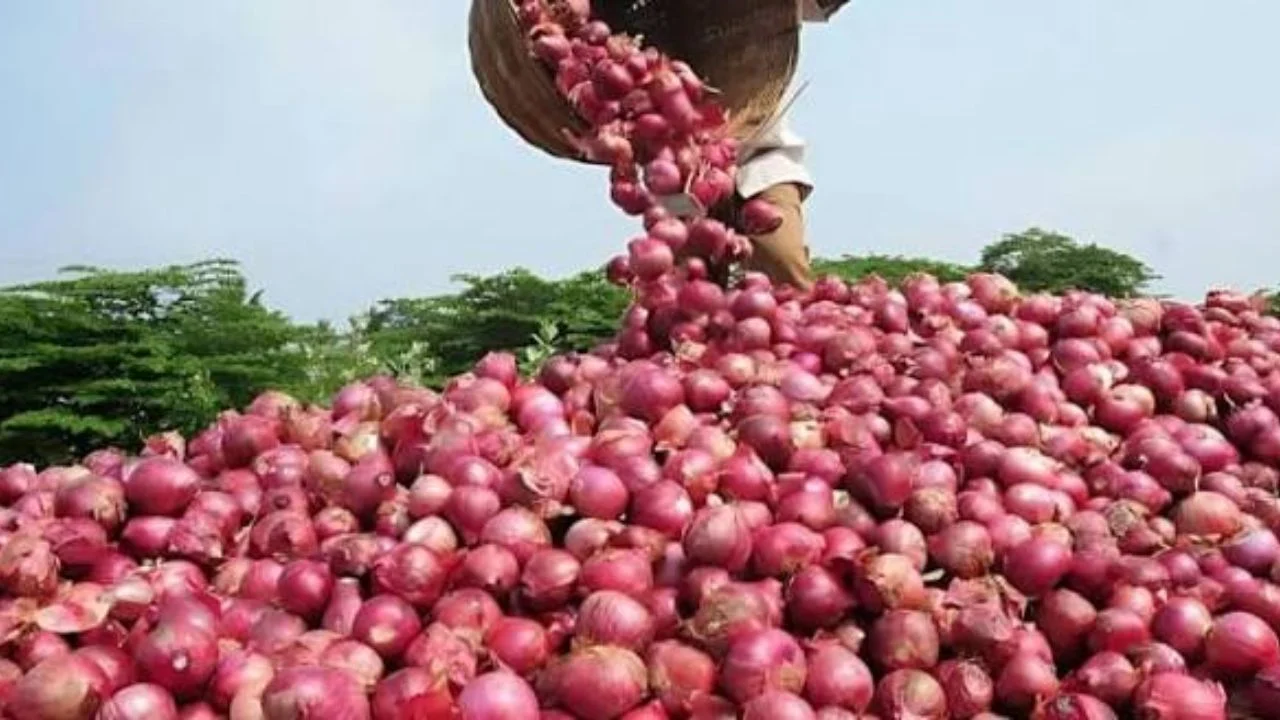 Government's hybrid rail-road model, now onion will be available at ₹ 35 kg in 19 cities