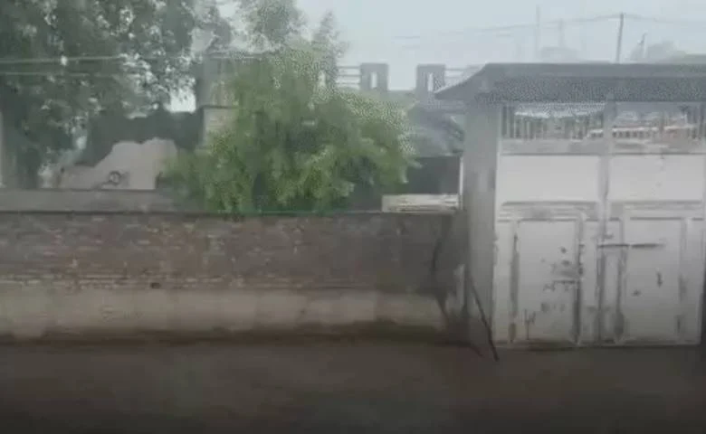 Gujarat Rain