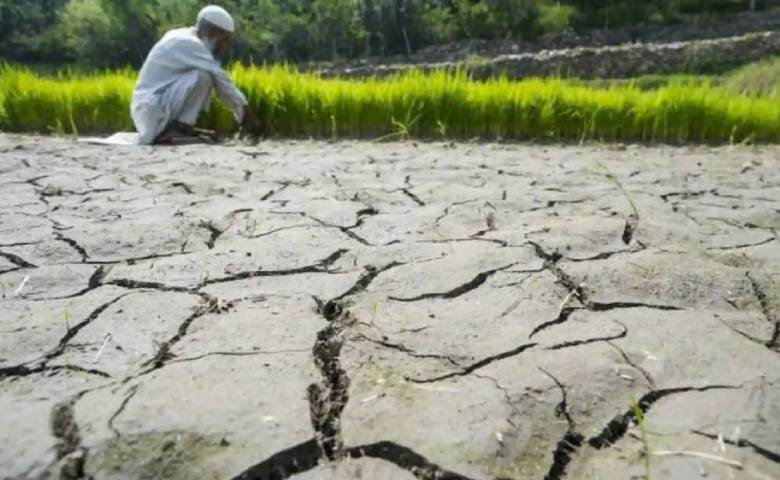 Country's crops in the grip of drought