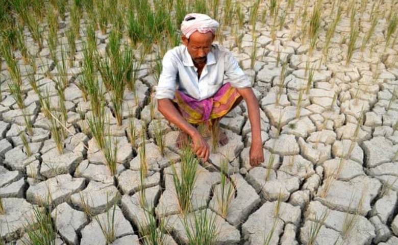 Drought affects 52.5% of the country