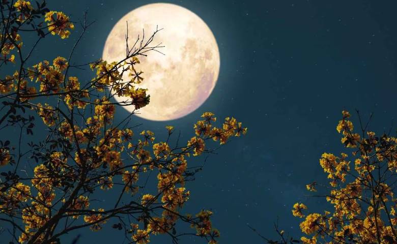 Five Things to Donate on Sharad Purnima