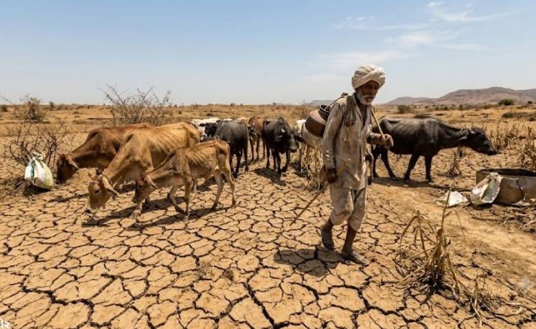 Saurashtra Farmers In Crisis