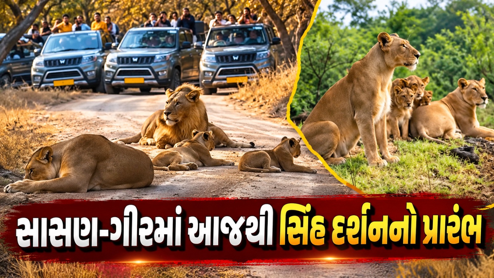 Sasan Gir Jungle Safari Start Date
