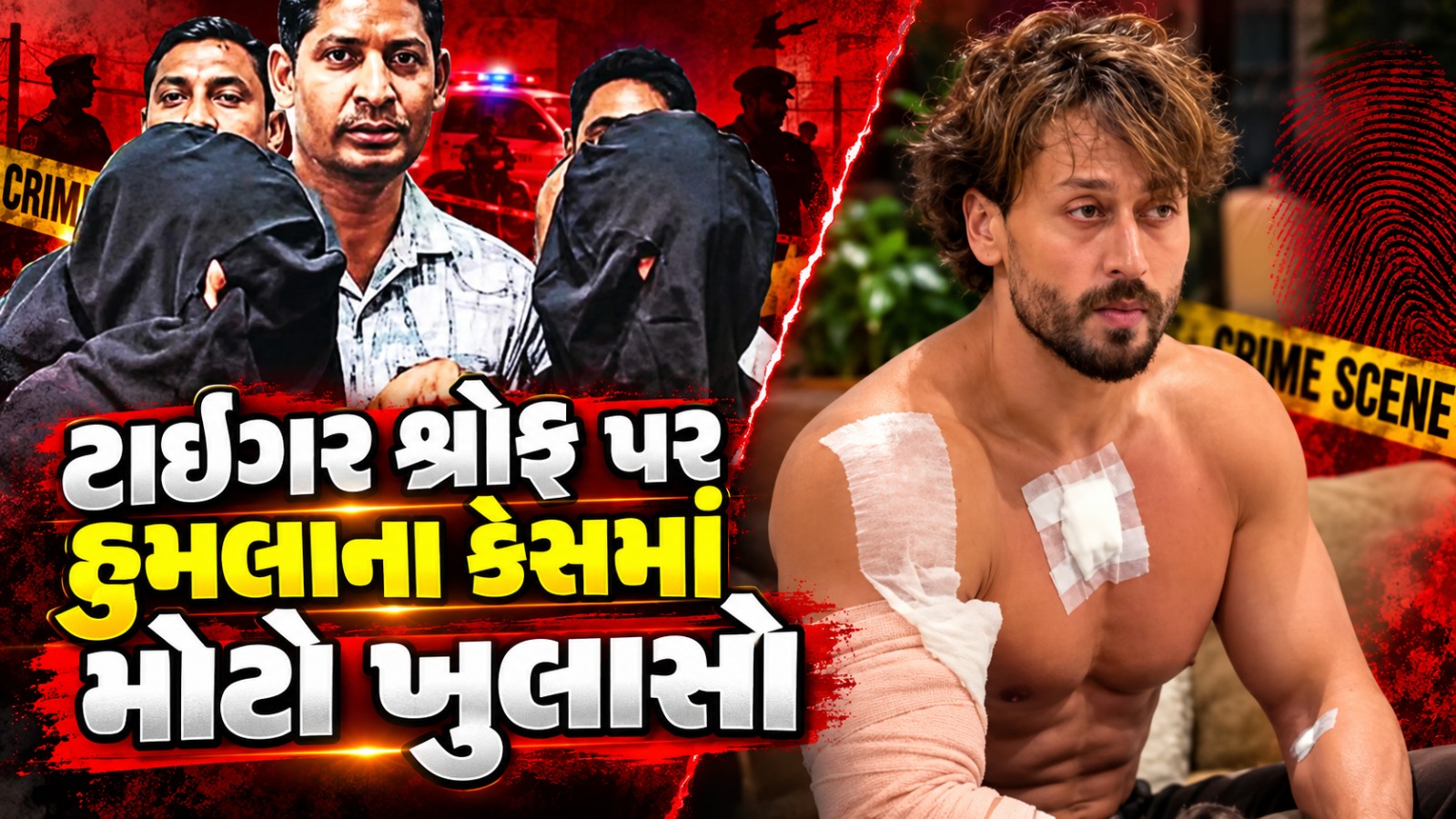 Bollywood actor Tiger Shroff,