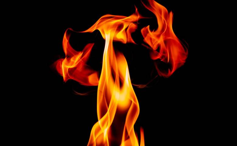 Tragedy in Bhavnagar 4 buffaloes burnt